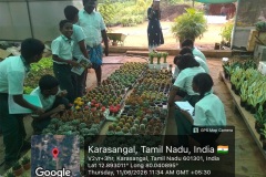 Vocational-Trip-20261